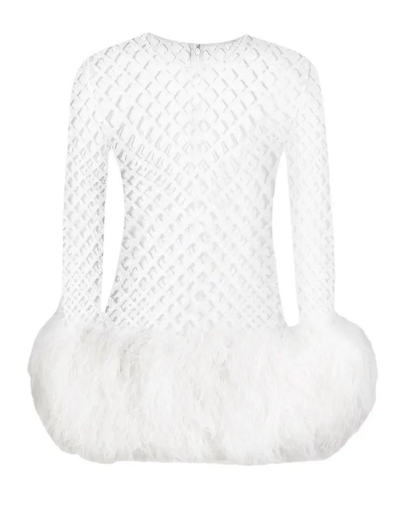 Dolce & Gabbana Feather-Trim Sequined Fishnet Long-Sleeve Mini Dress