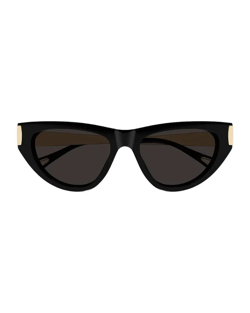Chloe Holly 54mm Acetate & Metal Cat-Eye Sunglasses