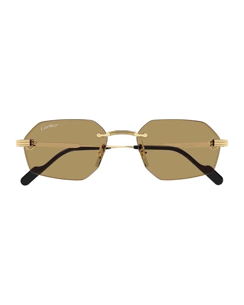 Cartier Men 's CT0616S-002 Metal Rectangle Sunglasses