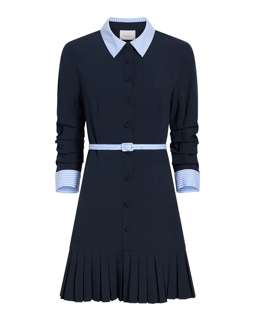 Cinq a Sept Lucilla Stripe Shirting Dress