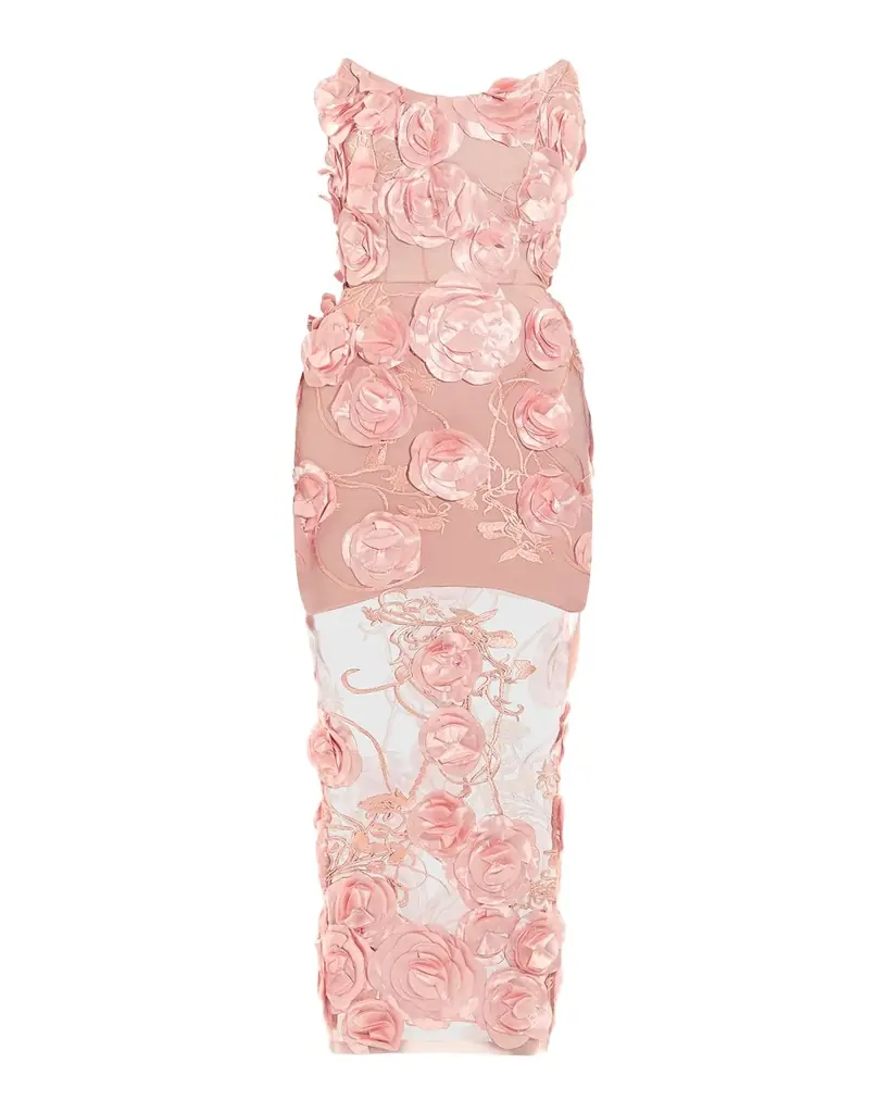 ZHIVAGO Dream of That Floral Mesh Midi Dress