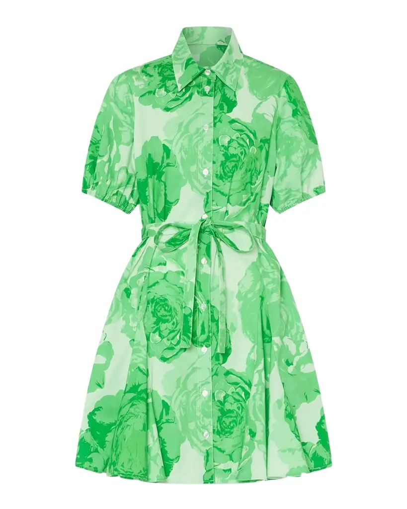 Milly Juni Pleated Floral-Print Poplin Mini Dress