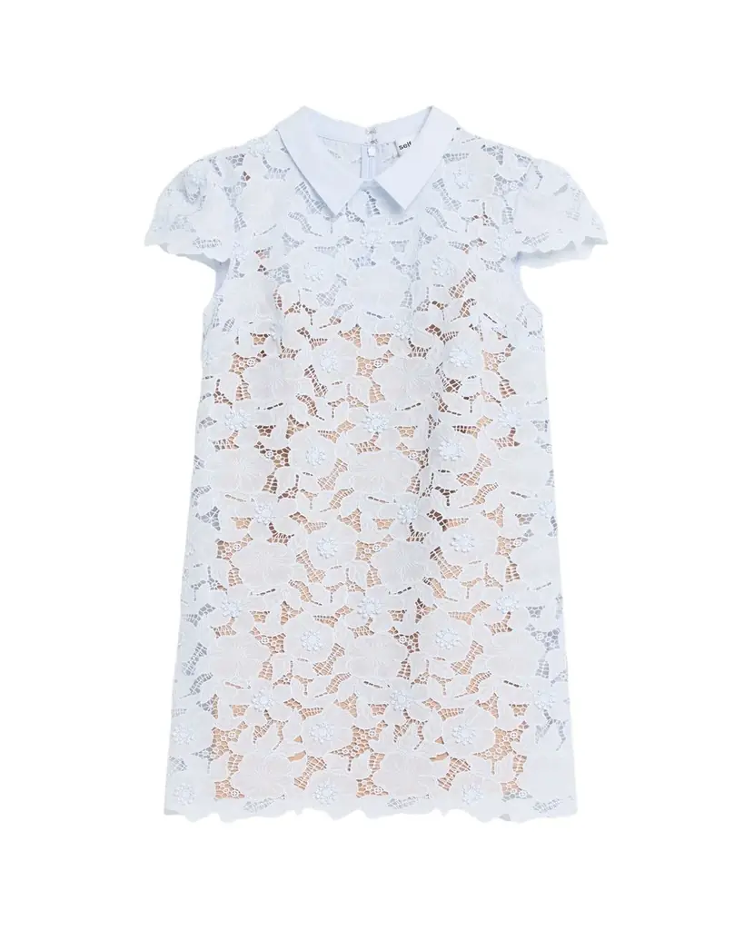 Self-Portrait Floral Guipure Lace Mini Dress