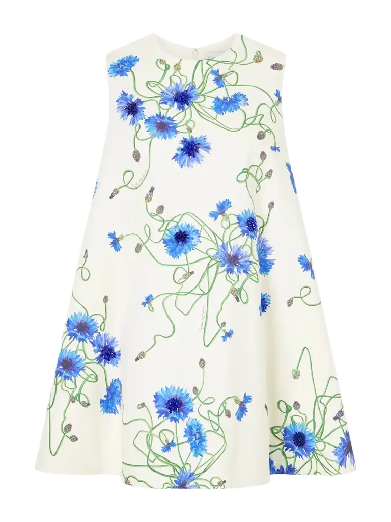 Stella McCartney Printed Cotton-poplin Mini Dress