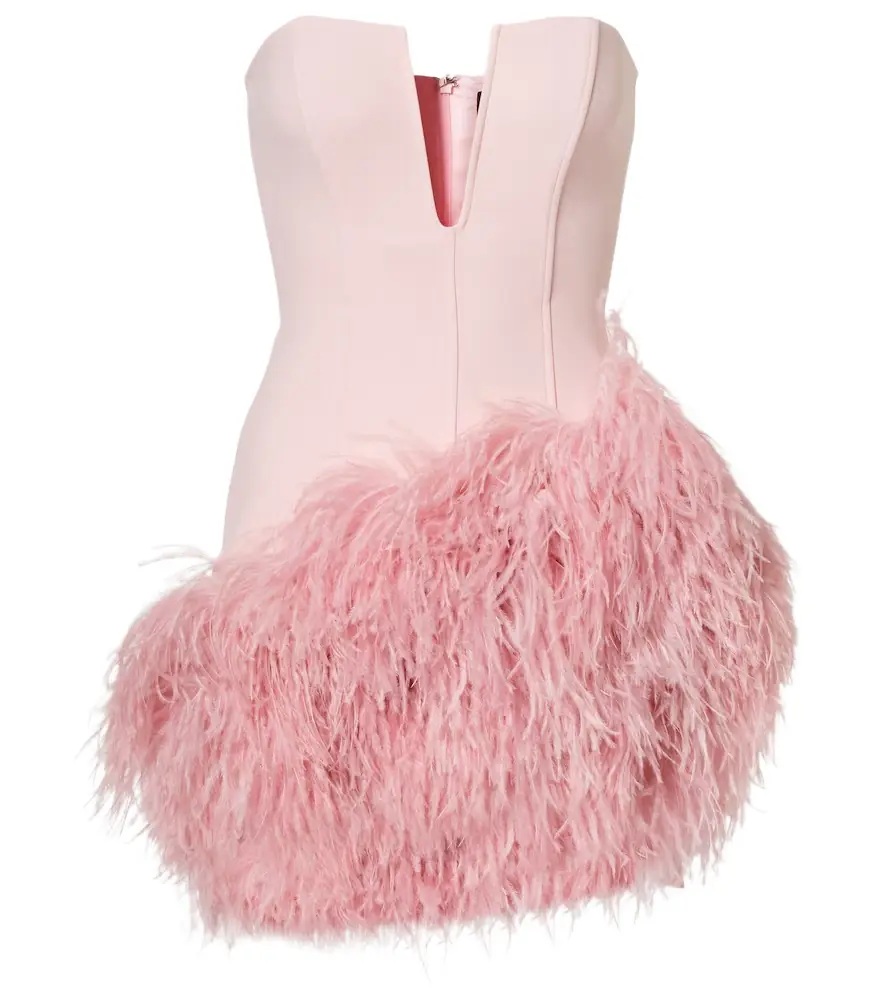 David Koma Feather-trimmed minidress