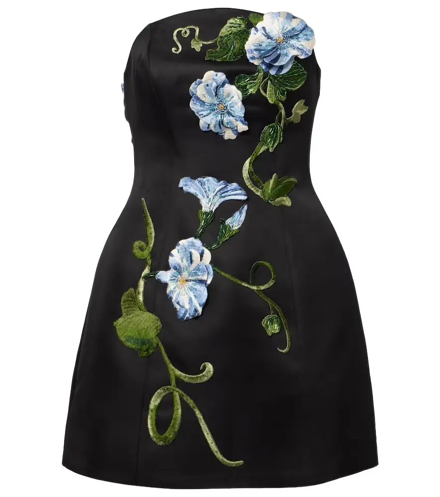 Leo Lin Zaria floral-appliqué bustier dress