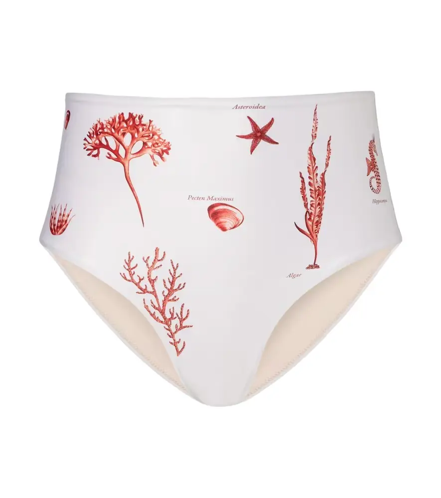Agua by Agua Bendita Magdalena printed bikini bottoms