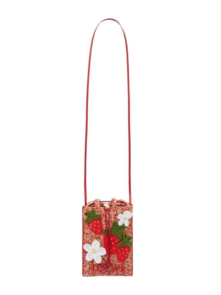 Loewe + Paula's Ibiza Leather-trimmed Embroidered Woven Raffia Bucket Bag