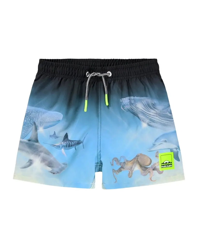 Molo Boy 's Niko Swim Trunks