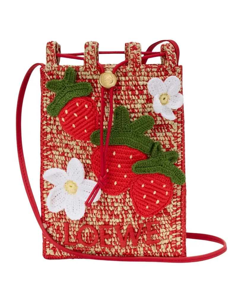 Loewe x Paula 's Ibiza Strawberry Applique Raffia Pouch Bag