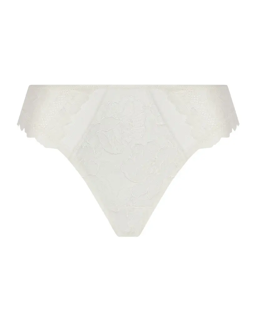 Lise Charmel Tulle & Jacquard Italian Briefs