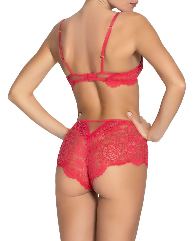 Lise Charmel Desirs De Venise Lace Italian Briefs
