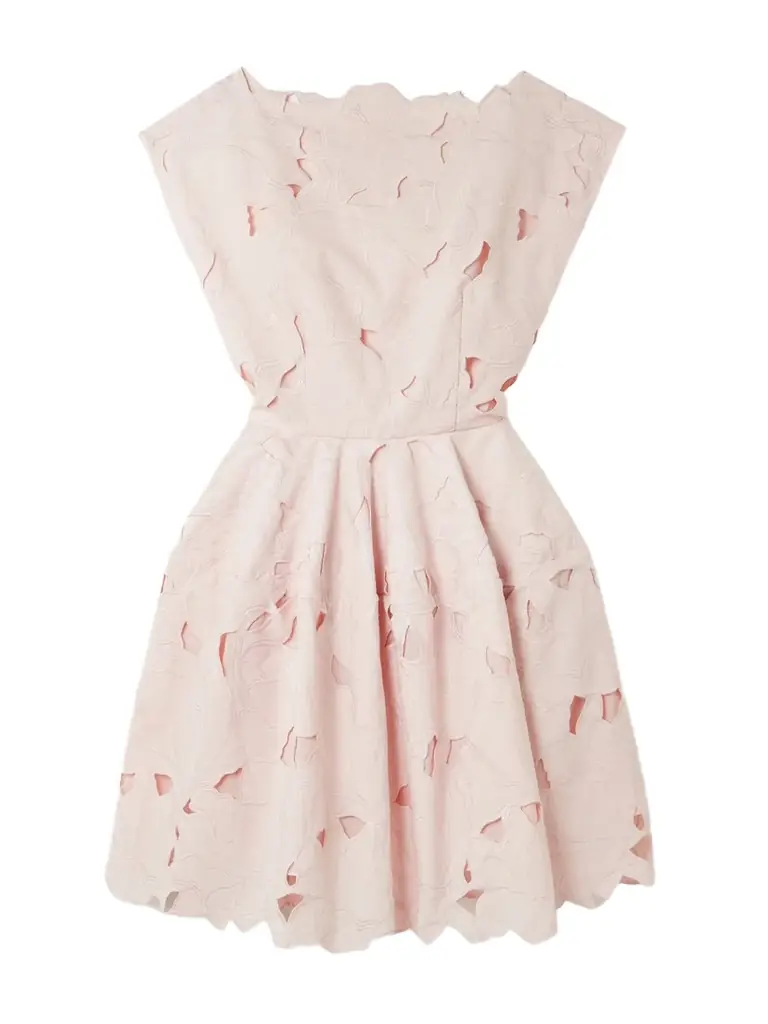 Erdem Cutout Embroidered Poplin Mini Dress