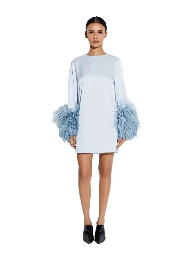 LAPOINTE Satin Dress With Feathers