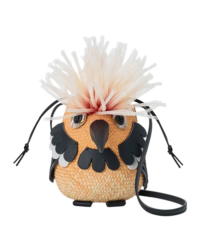 Loewe x Paula 's Ibiza Woven Bird Crossbody Bag