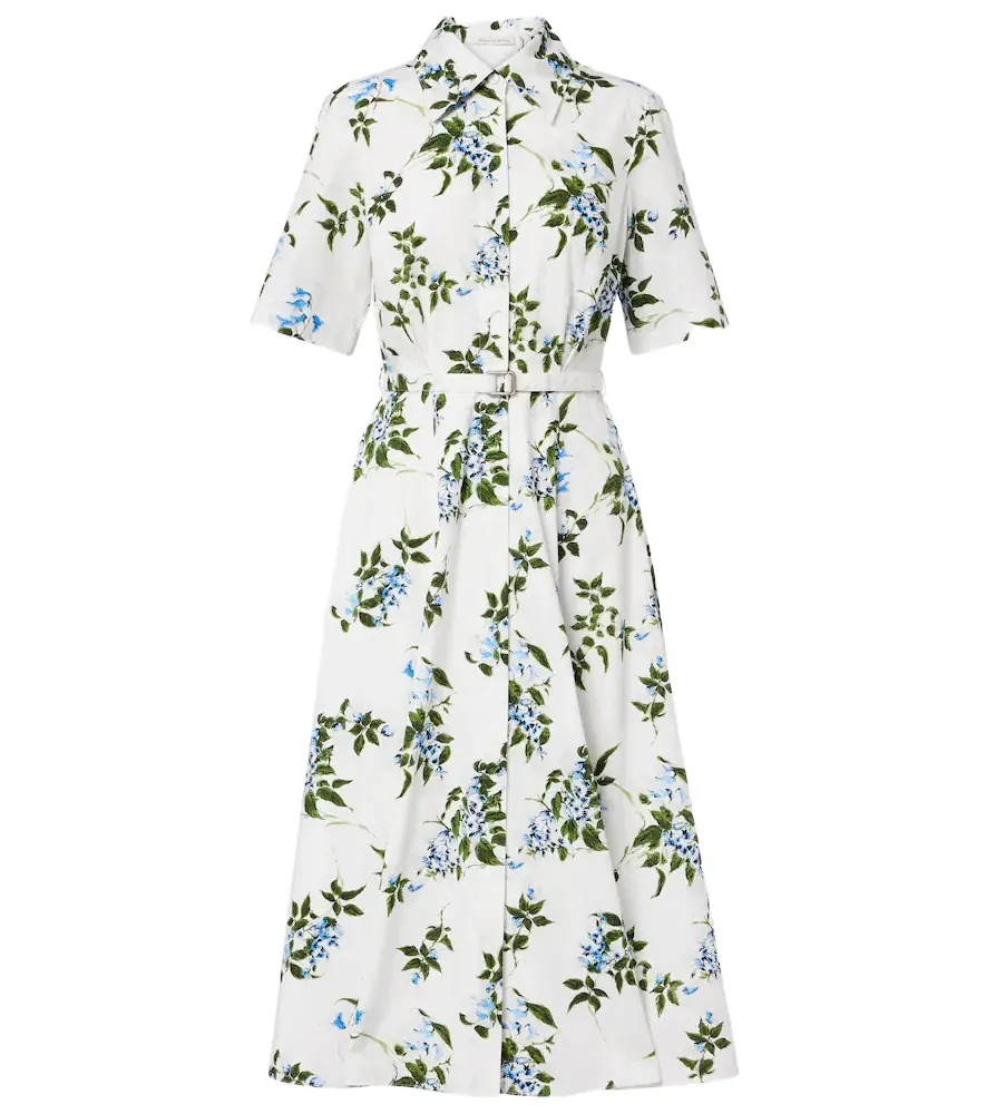 Emilia Wickstead Rubie floral cotton poplin shirt dress