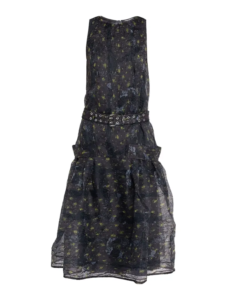Ganni Shibori Organza Dress