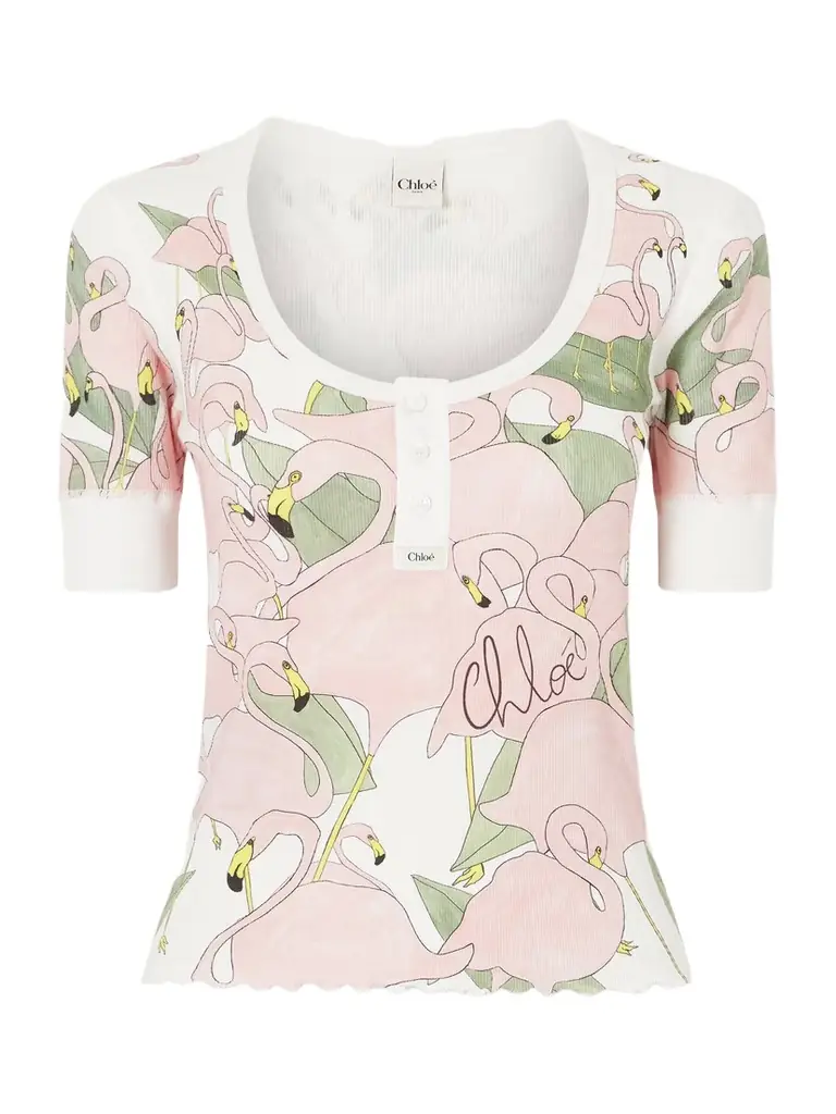 Chloé Printed Ribbed Cotton-jersey T-shirt