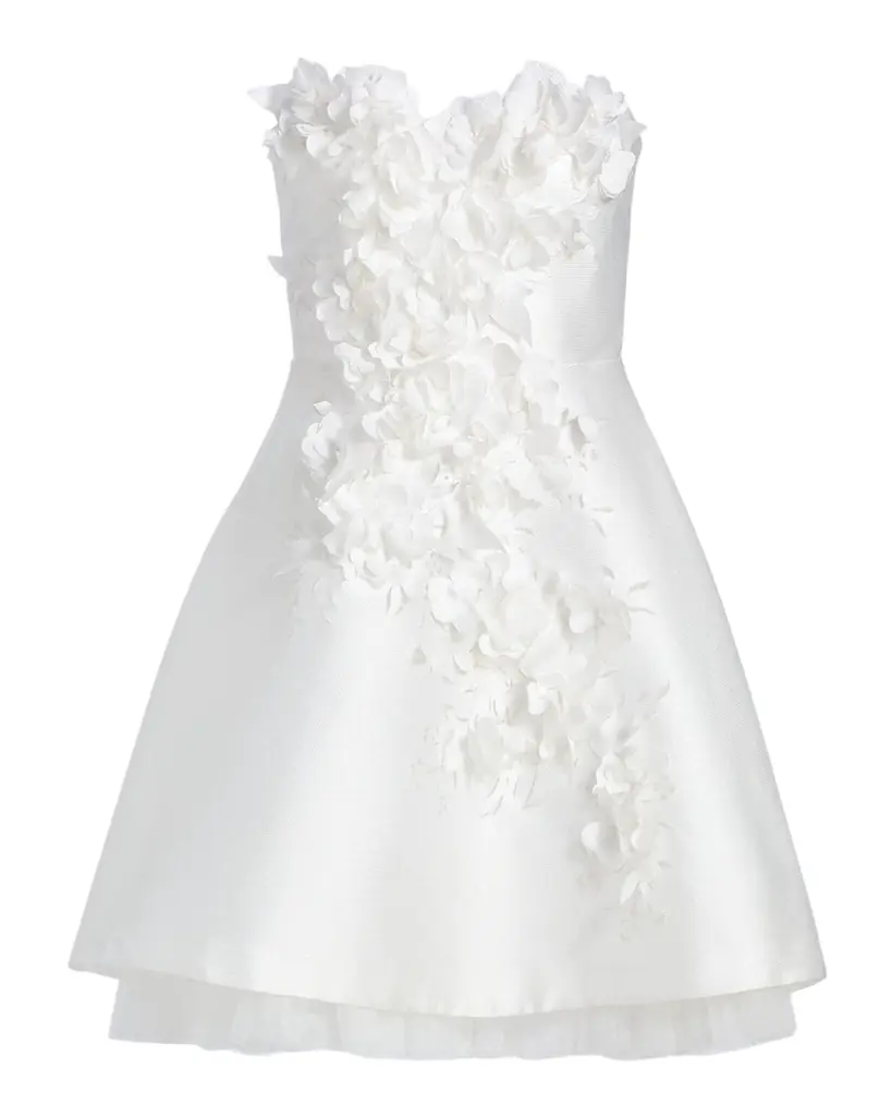 Badgley Mischka Flower Applique A-Line Mini Dress