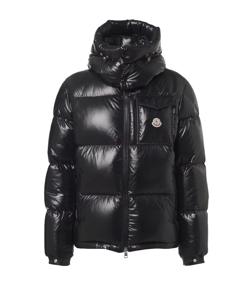 Moncler ontbeliard down jacket - Women's Clothing