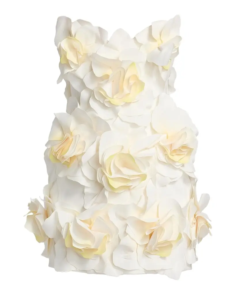 Acler Jackhill 3D Floral Minidress