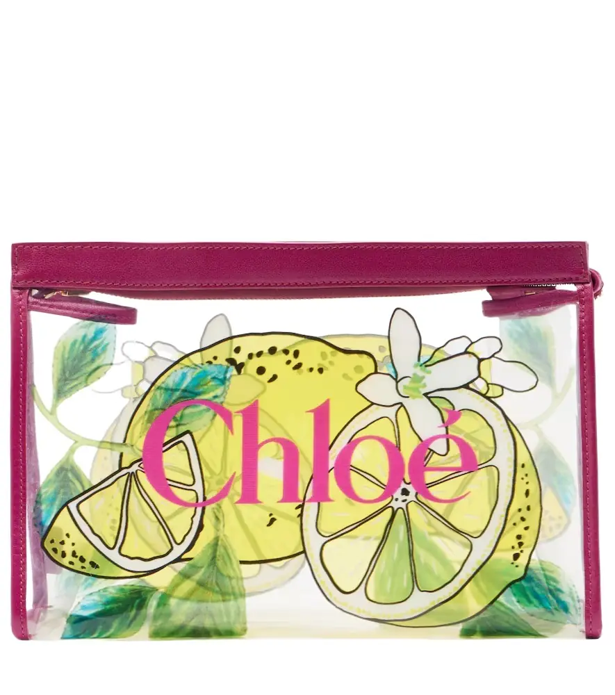 Chloe Chloé Soleil Small leather-trimmed pouch