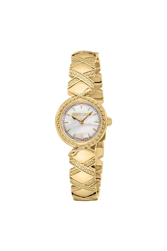 Roberto Cavalli Roberto Cavalli by Franck Muller Snake Core watch