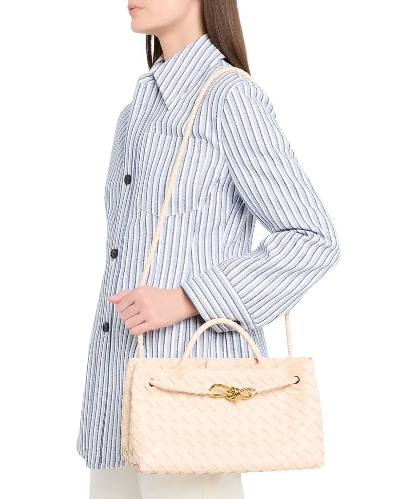 Bottega Veneta Small East-West Andiamo Bag