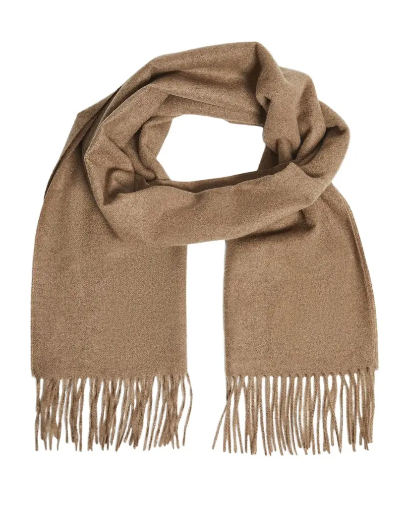 Loewe Fringed Cashmere Scarf