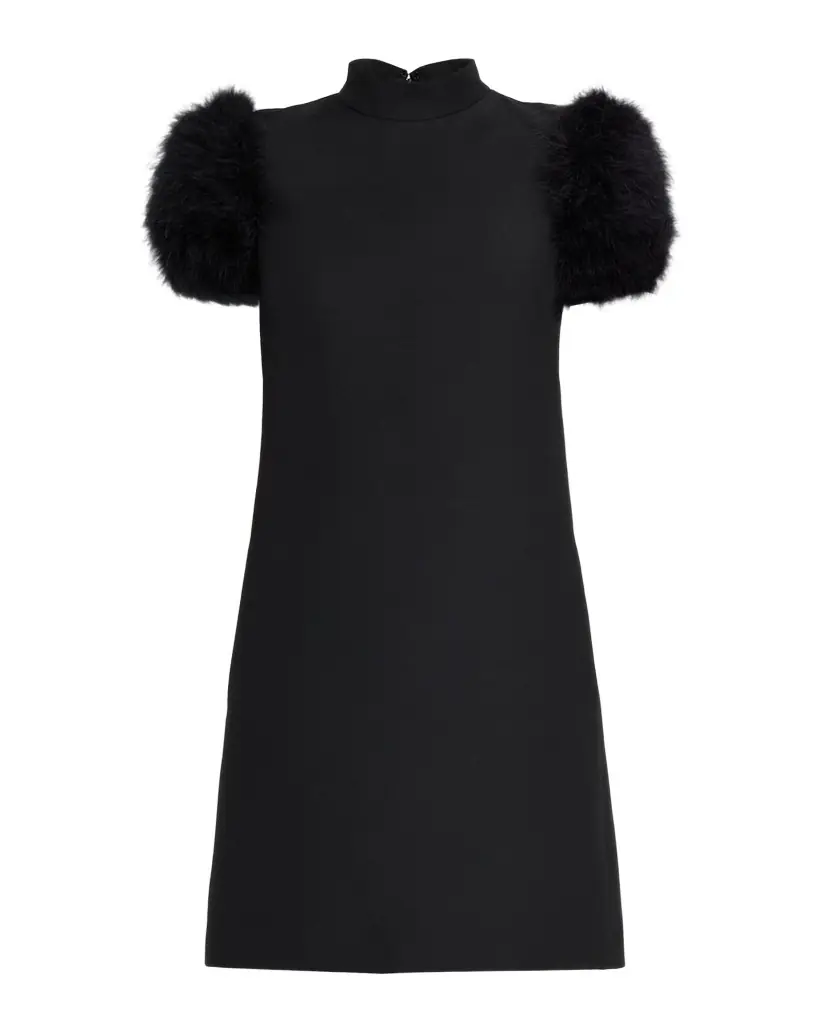 Valentino Garavani Feather-Sleeve Mock-Neck Mini Dress