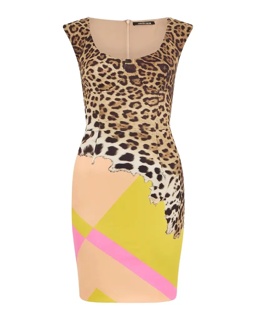 Roberto Cavalli Colorblock Jaguar-Print Bustier Mini Dress