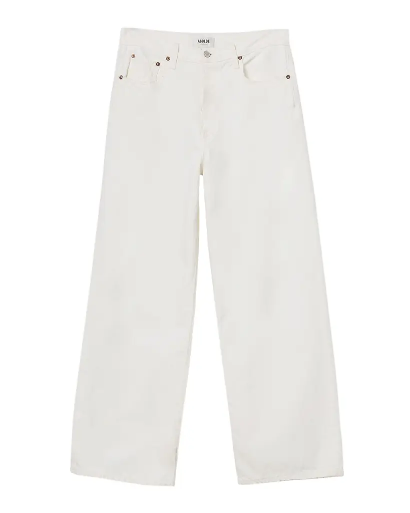 AGOLDE Low-Rise Wide Baggy Jeans