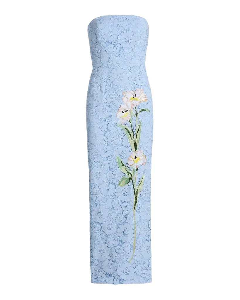 Milly Dolores Strapless Floral Lace Midi Dress
