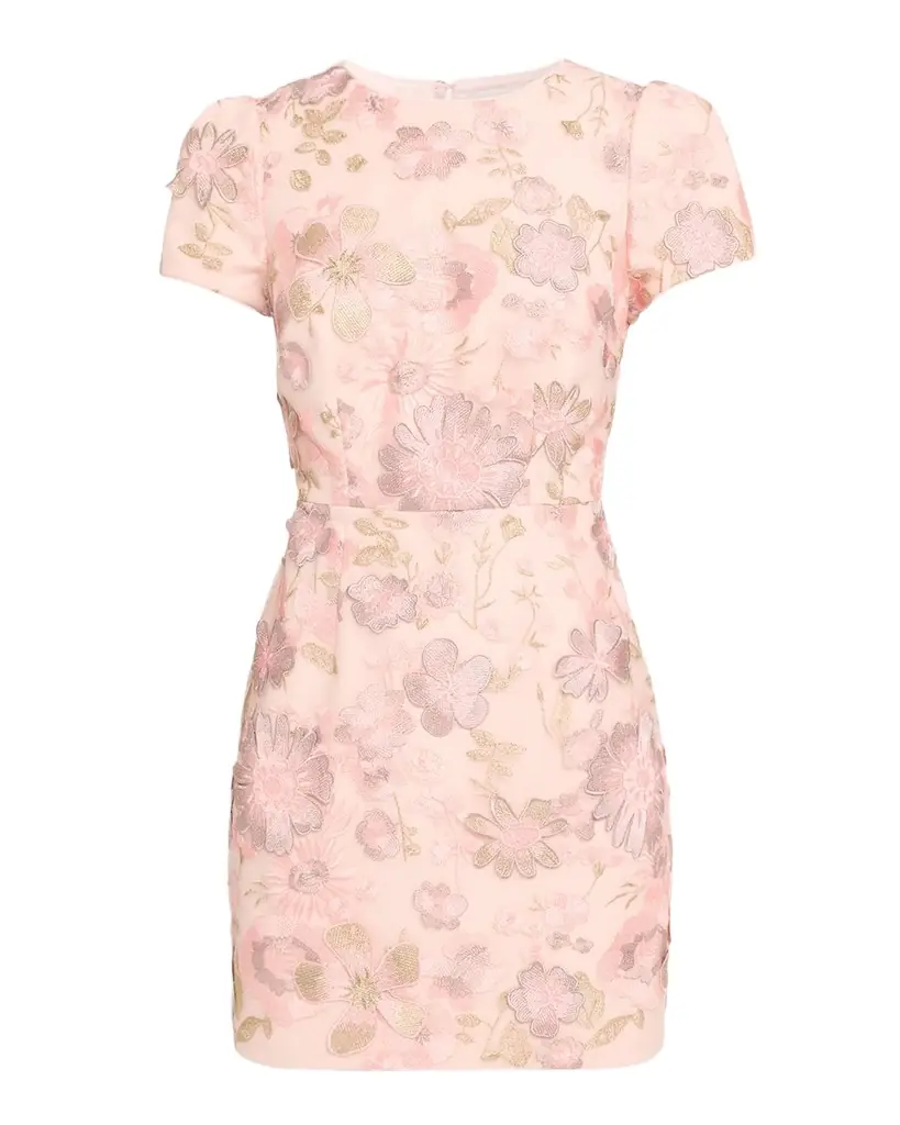Milly Daisy Floral-Embroidered Mesh Mini Dress