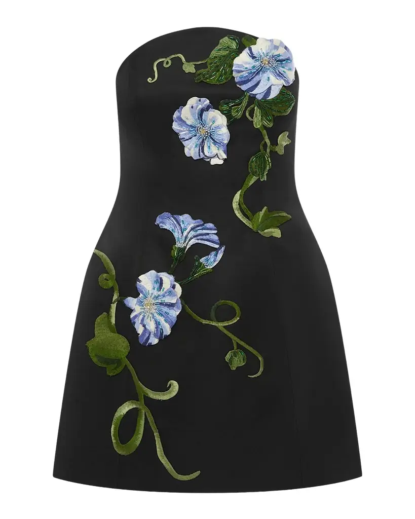 LEO LIN Zaria Applique Floral Strapless Bustier Mini Dress