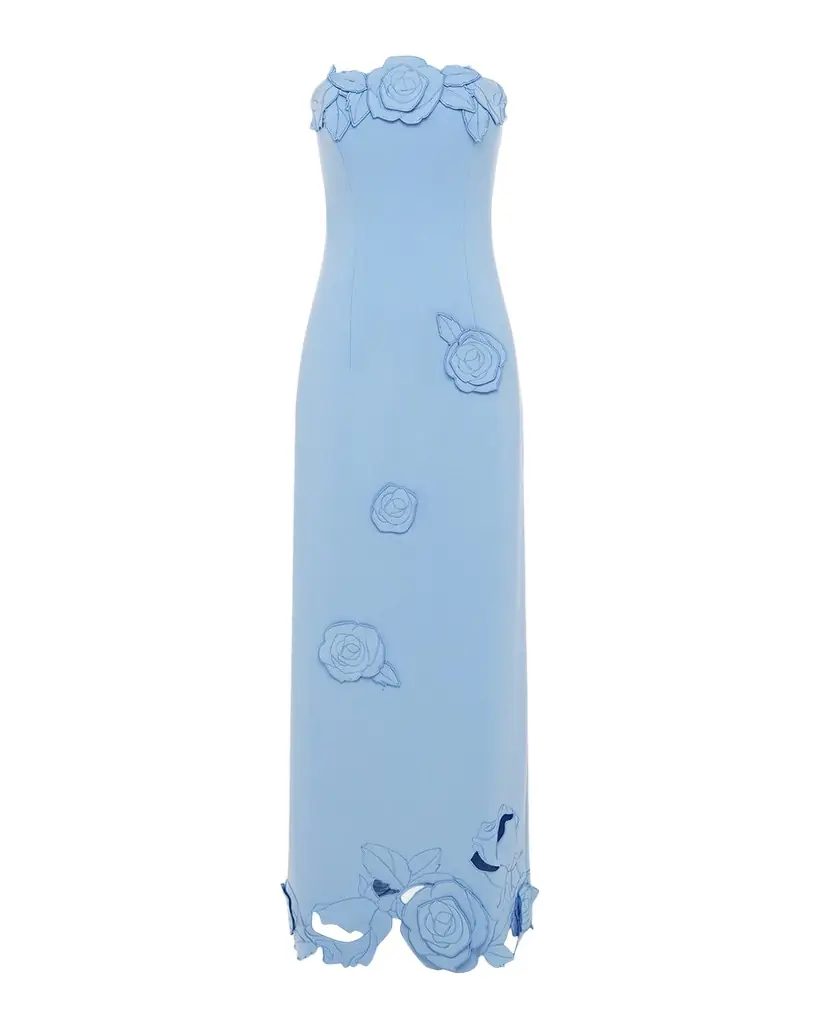 LEO LIN Rayna Applique Strapless Bustier Maxi Dress