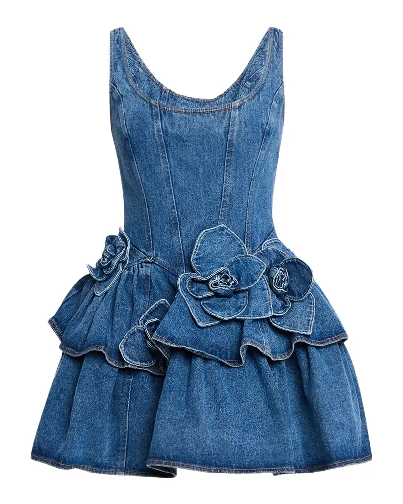 AKNVAS Devyn Denim Ruffle Mini Dress