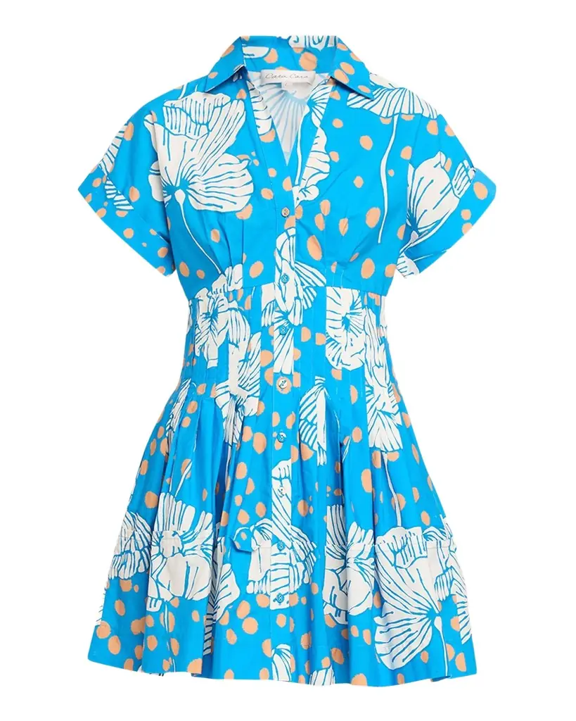 Cara Cara Nash Printed Button-Front Mini Dress