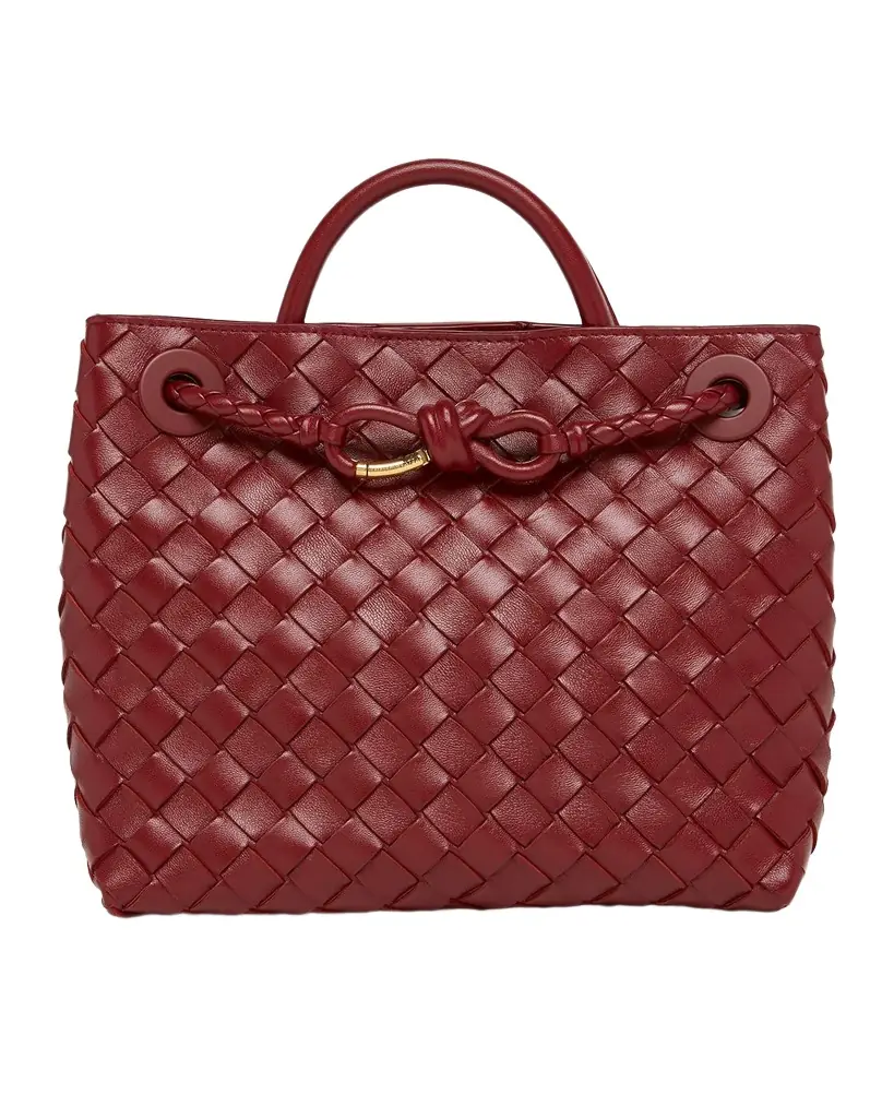 Bottega Veneta Andiamo Small Leather Tote Bag