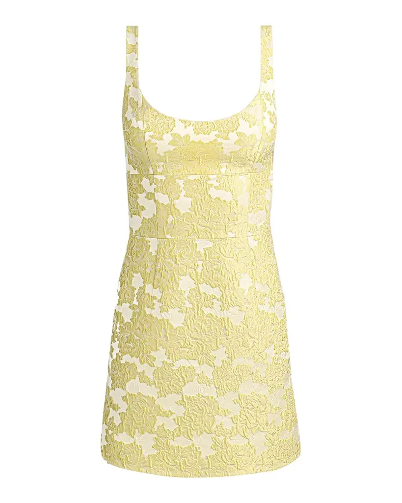 ALICE + OLIVIA Charlotte Floral Jacquard Mini Dress