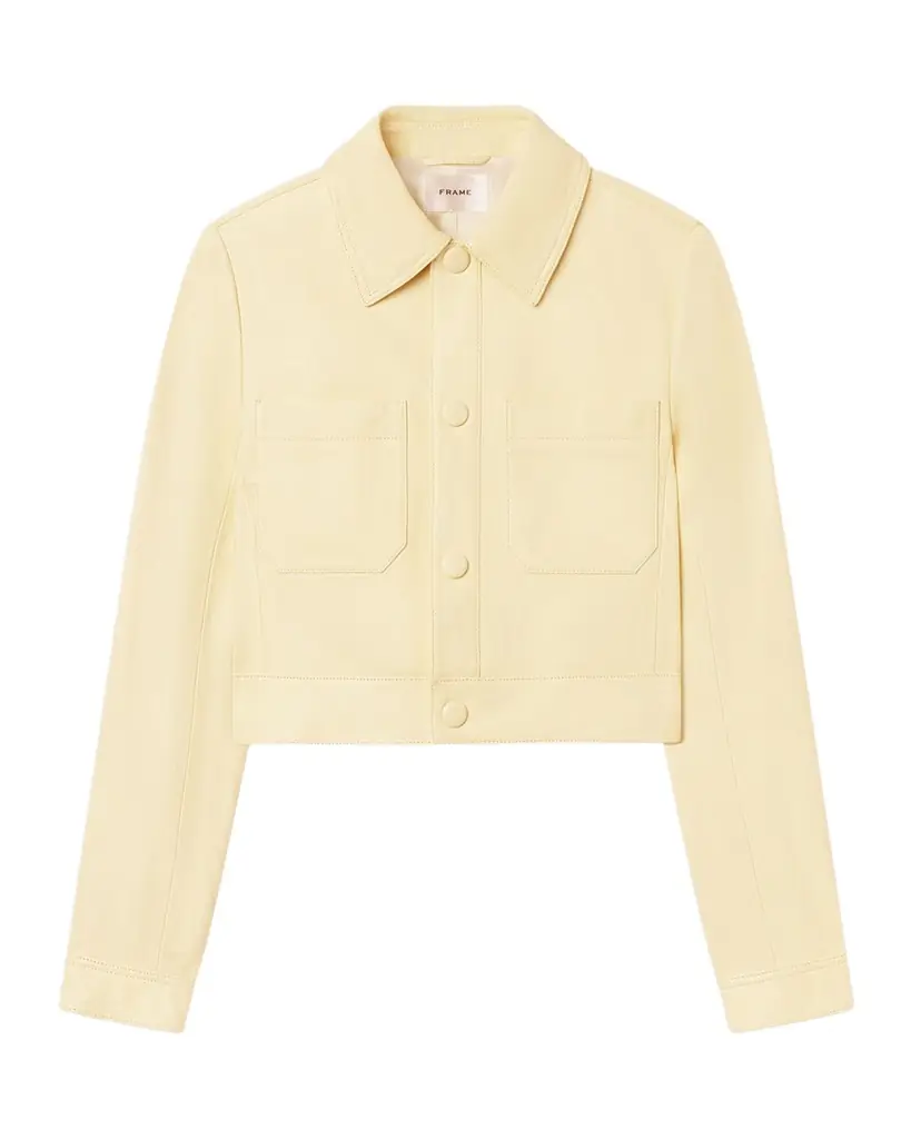 FRAME The Small Leather Jacket