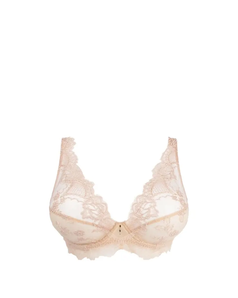 Lise Charmel Sublime En Dentelle Lace Push-Up Bra
