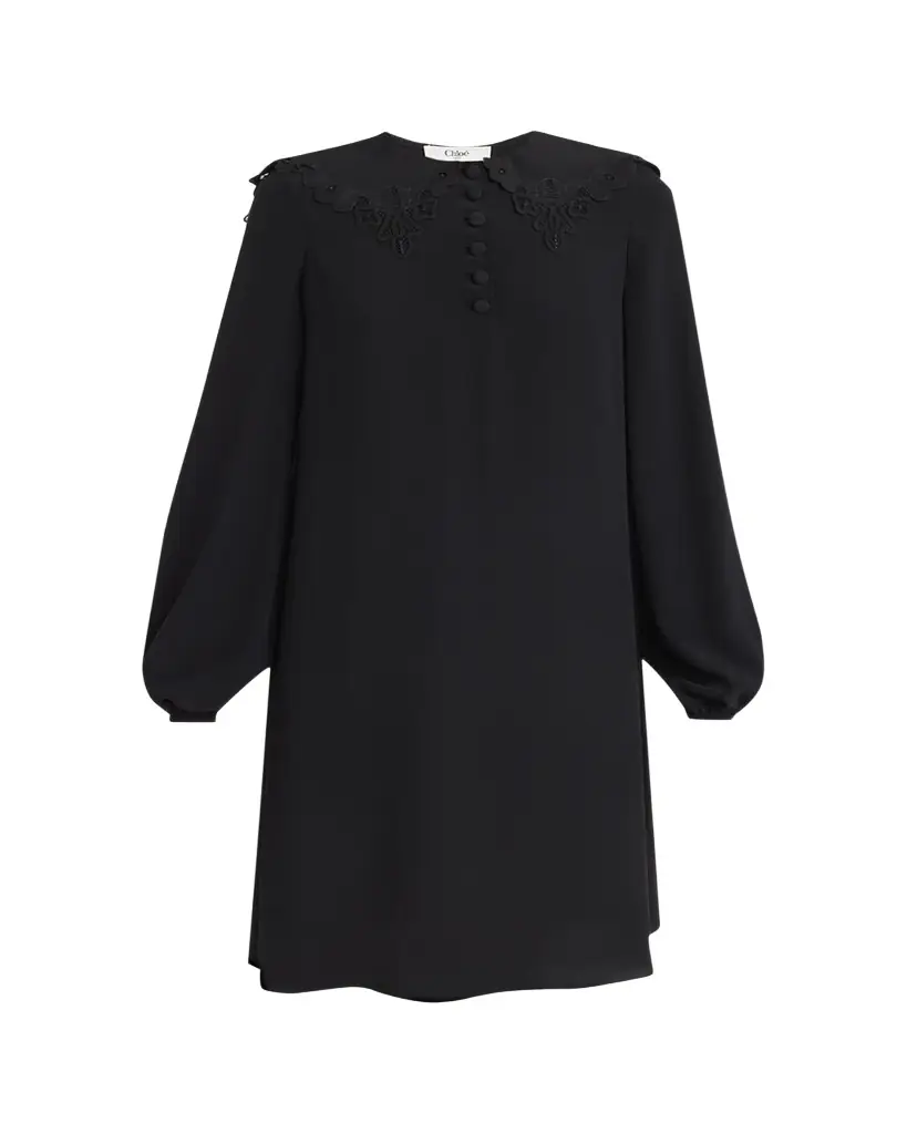 Chloe Floral Embroidered Silk Knee-Length Dress