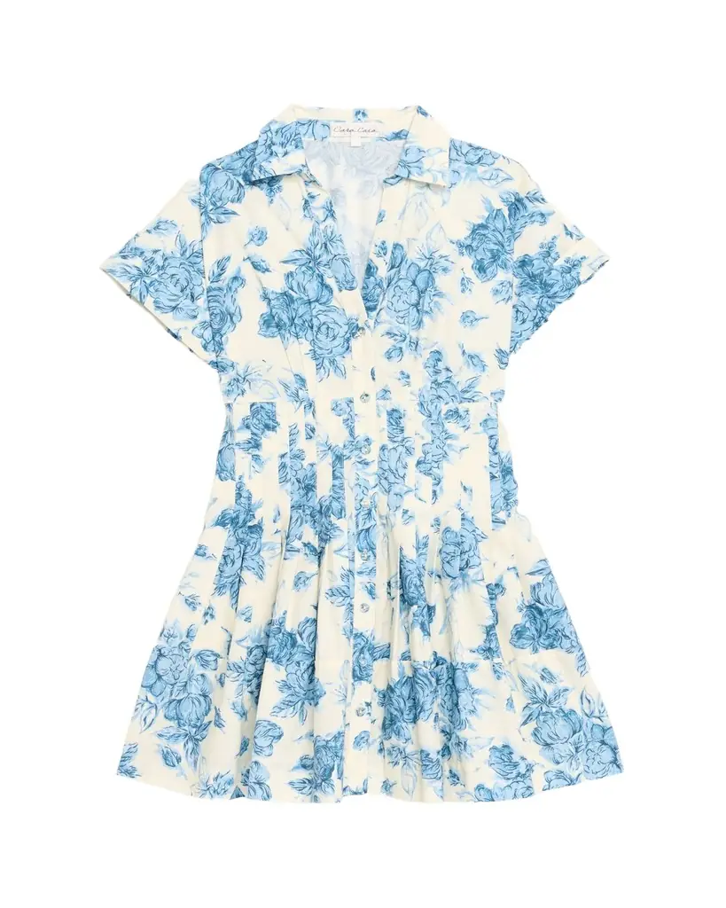 Cara Cara Nash Printed Button-Front Mini Dress