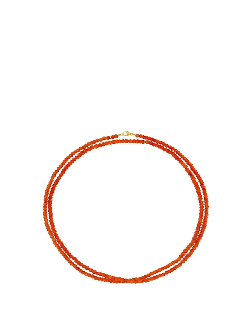 JIA JIA Arizona 14K Carnelian Long Necklace