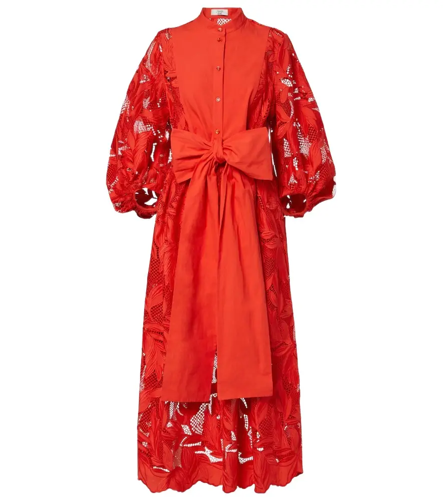 Erdem Embroidered mesh midi dress