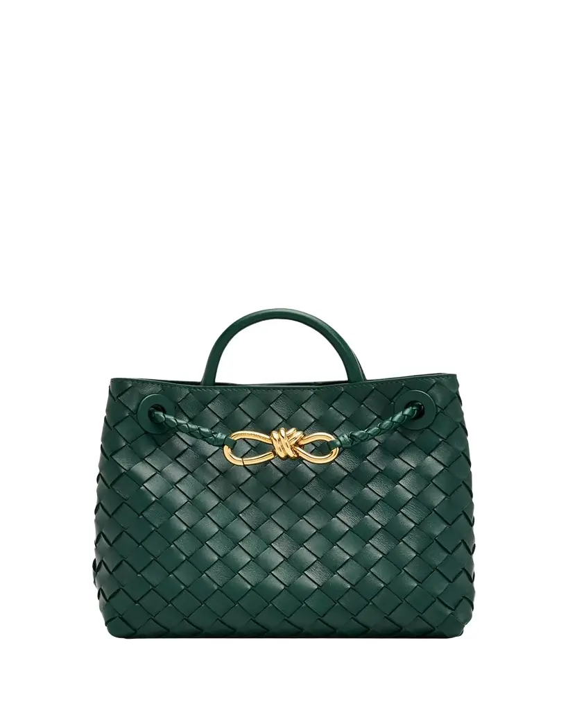 Bottega Veneta Andiamo Small Leather Top-Handle Bag
