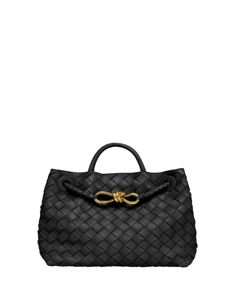 Bottega Veneta Andiamo Small Leather Top-Handle Bag