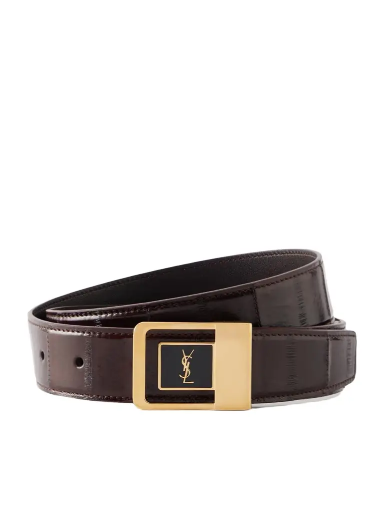 Saint Laurent Le 66 Eel Belt