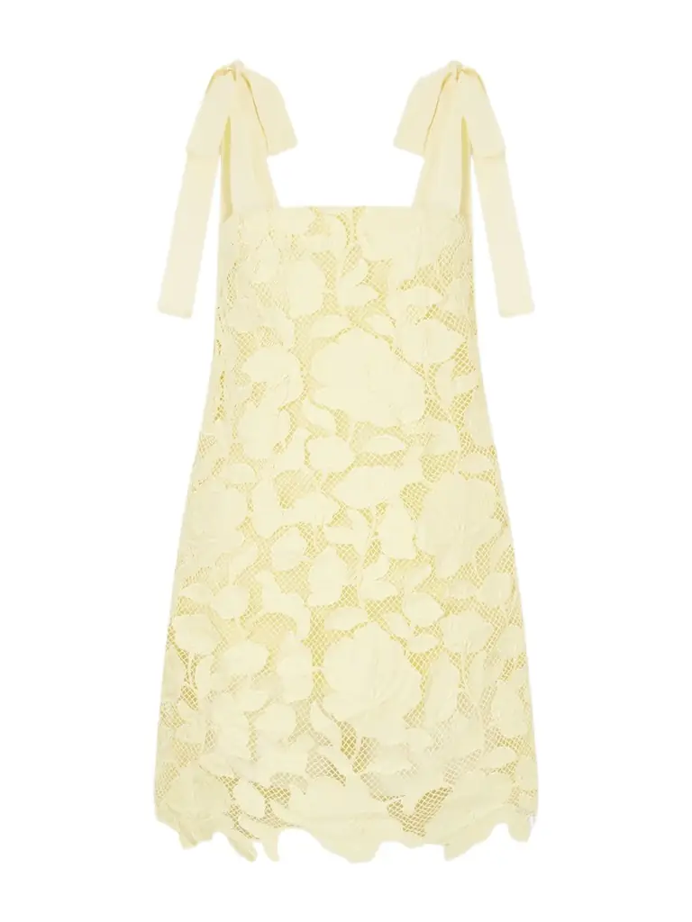 Simkhai Marigold Cotton-lace Mini Dress